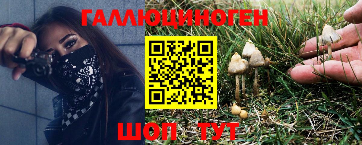 Галлюциногенные грибы Magic Shrooms  Вход с VPN  Златоуст 